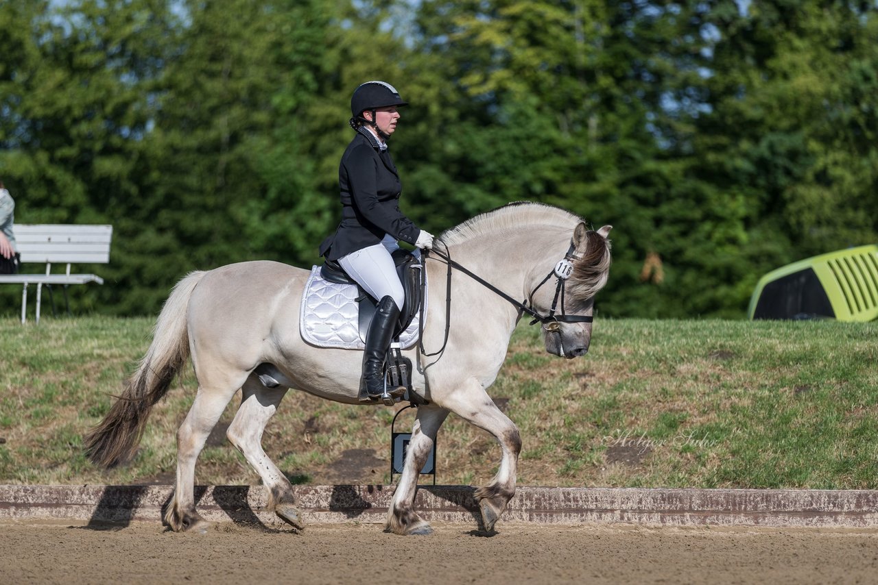 Bild 197 - Pony Akademie Turnier